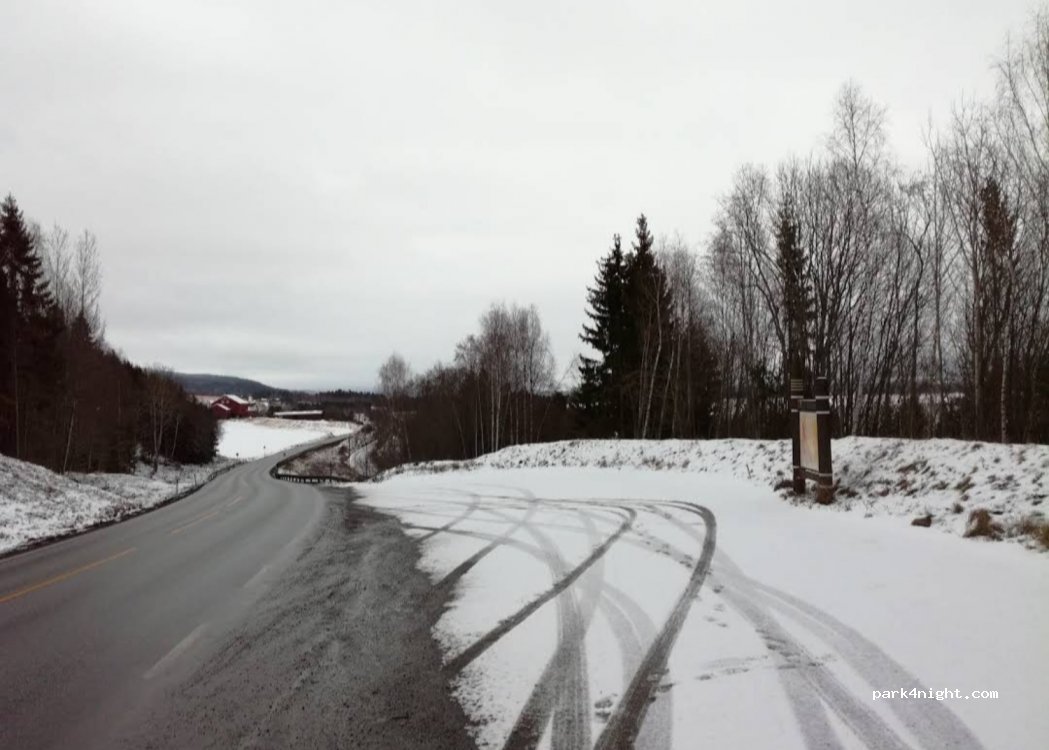 (3519) Hønefoss - 7 Riksveg 350 — foto
