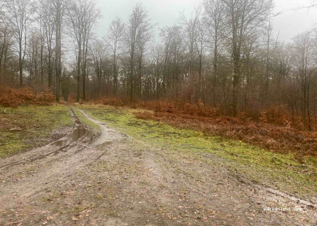 (6820) Florenville - — foto 2