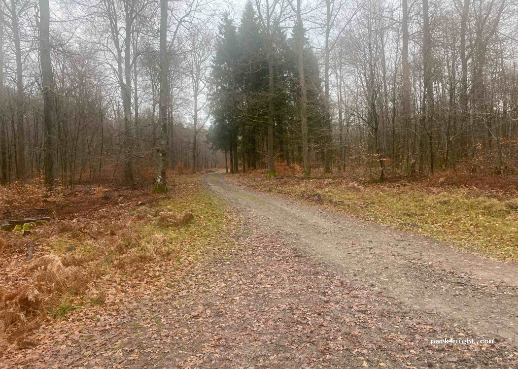 (6820) Florenville - — foto 3