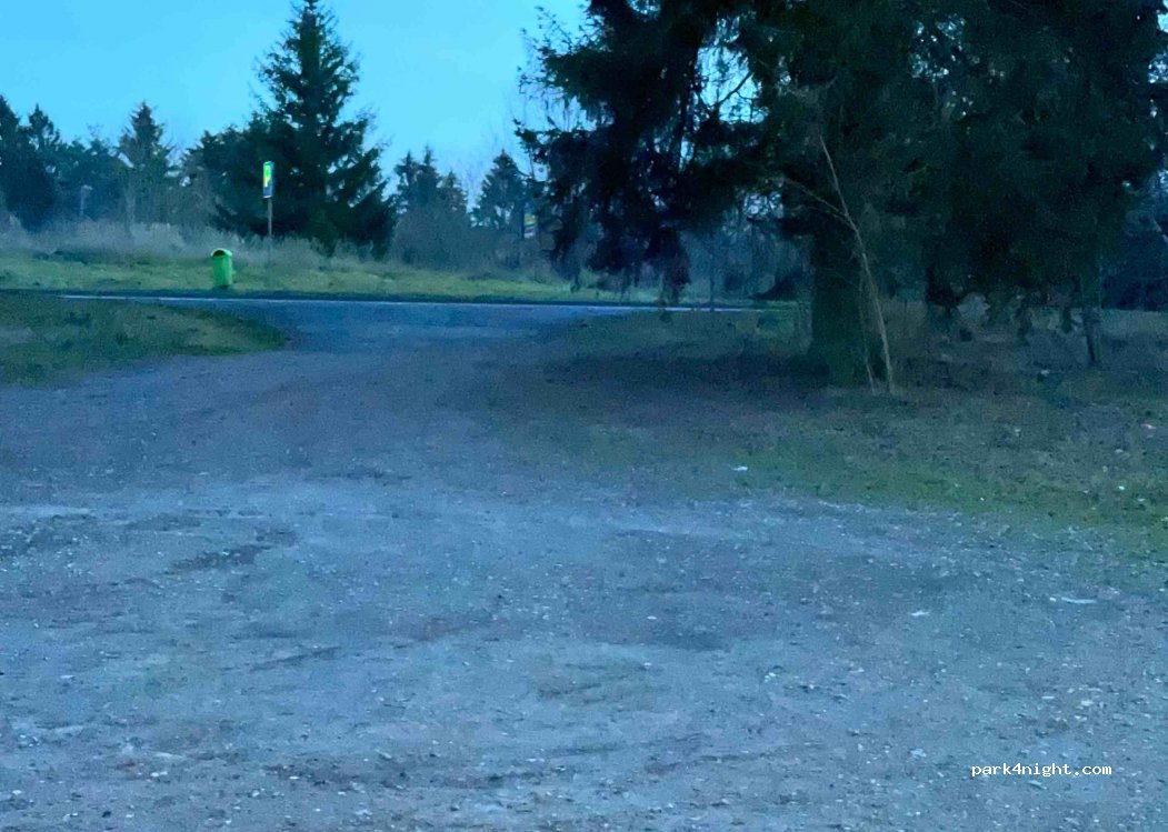 (78-446) Jeleń - 22 DK20 — foto