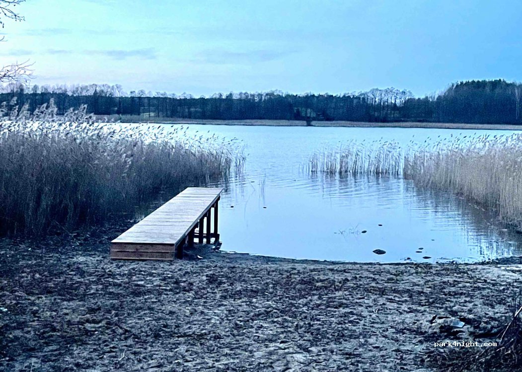 (78-446) Jeleń - 22 DK20 — foto 2