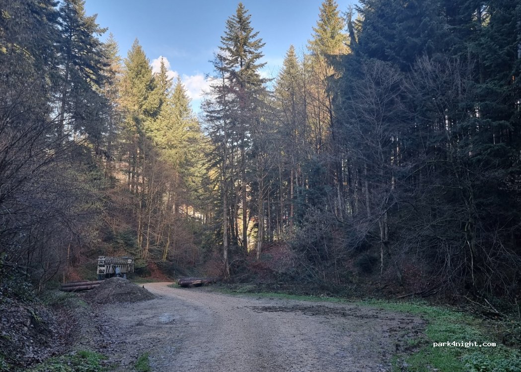 (79244) Münstertal - Unnamed Road — foto