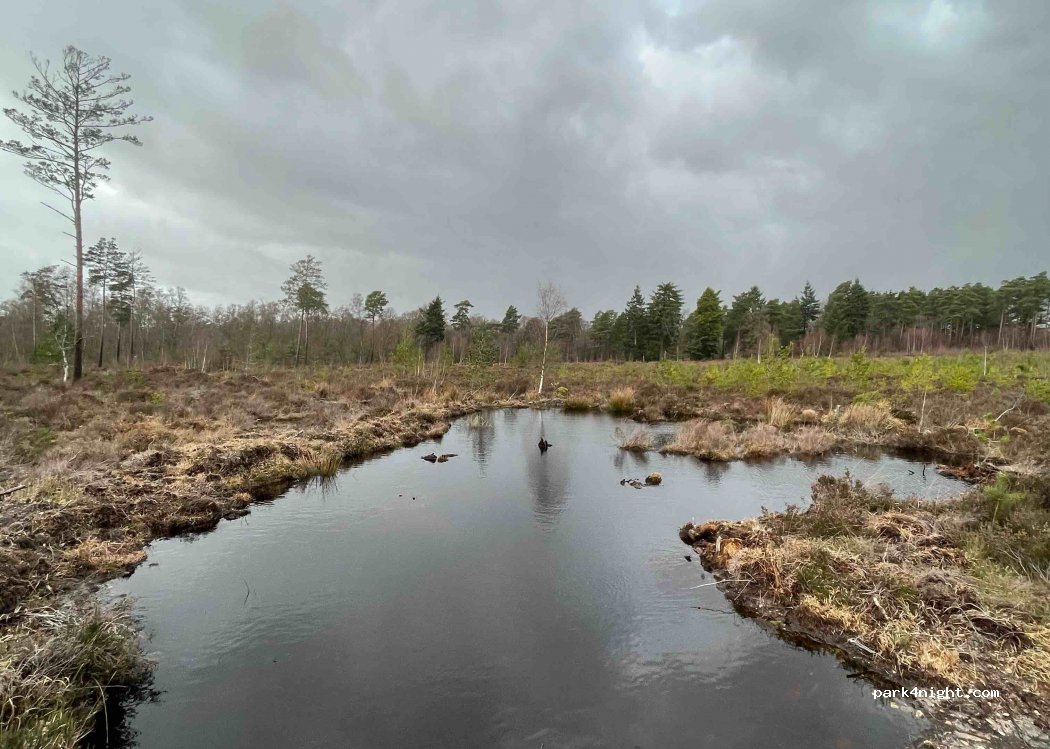 (GU28 0QL) Woolbeding - Cathanger Lane — foto