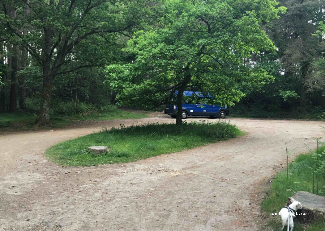 (GU28 0QL) Woolbeding - Cathanger Lane — foto 4