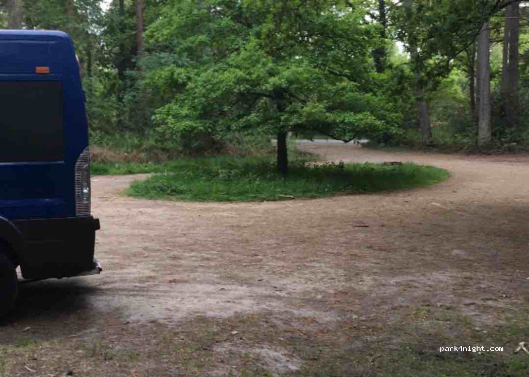 (GU28 0QL) Woolbeding - Cathanger Lane — foto 5