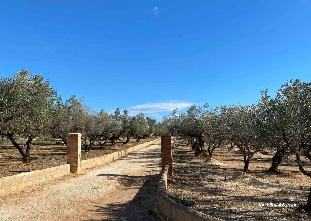 Finca Ermita — foto 4