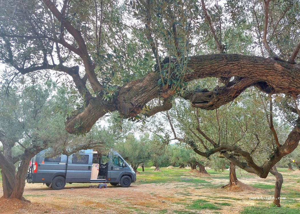 Finca Ermita — foto 5