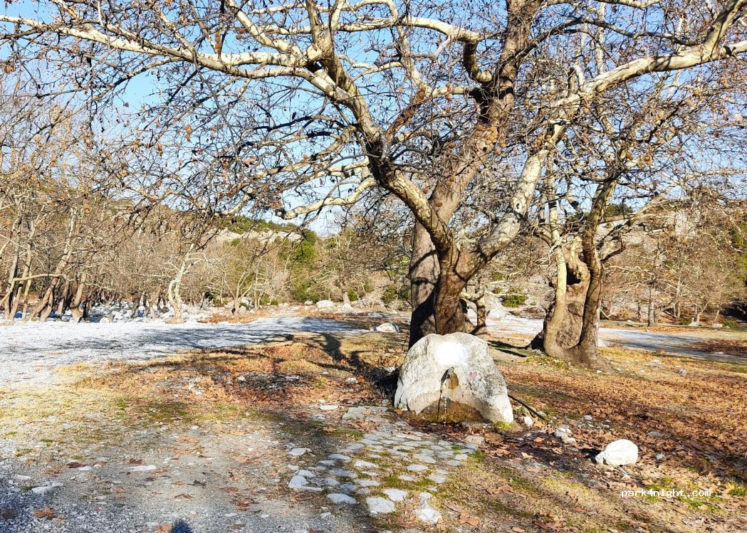 (601 00) Kontariotissa - Unnamed Road — foto