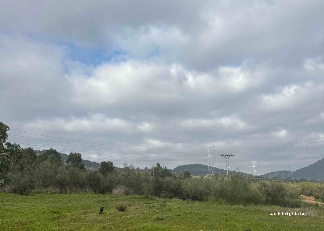 (10820) Cañaveral - N-630 — foto
