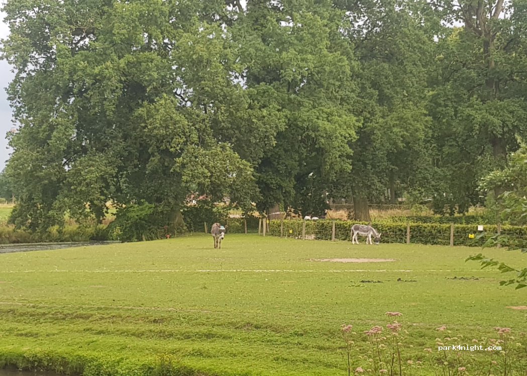 (3981 HH) Bunnik - 5a Rhijnauwenselaan — foto 3