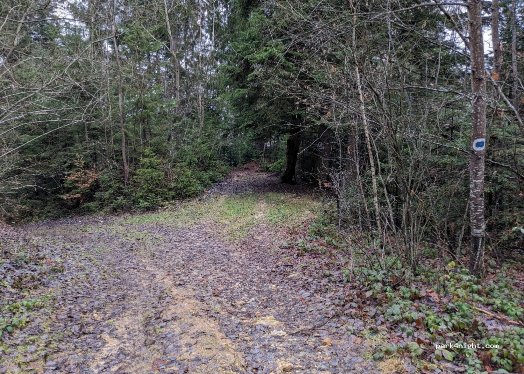 (517615) Roșia Montană - Unnamed Road — foto