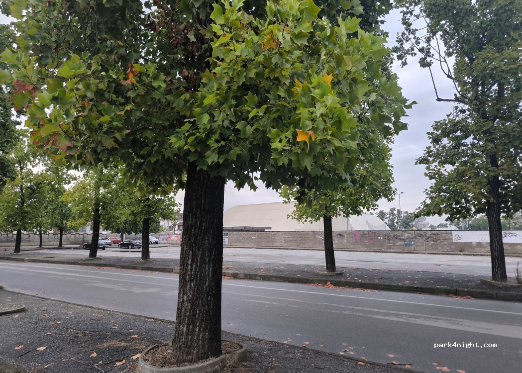 (27025) Gambolò - 4 Via Olimpia — foto 2