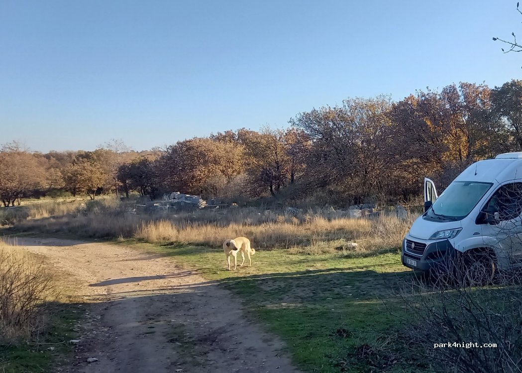 (17600) Dalyan - Unnamed Road — foto