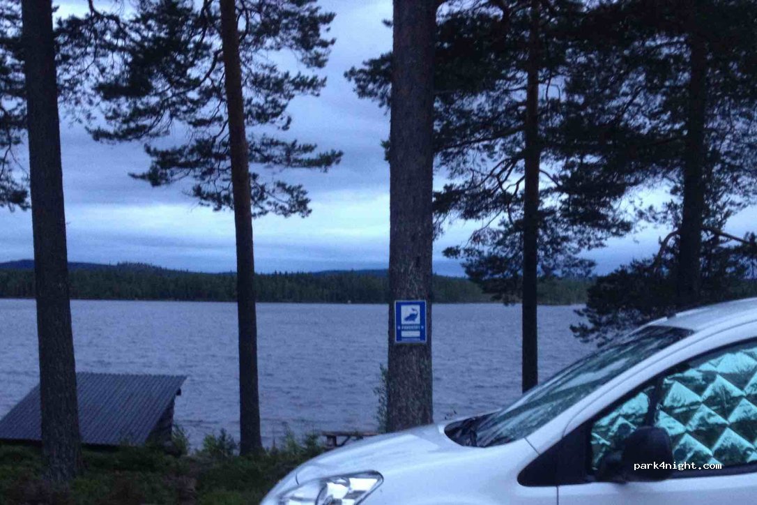 (794 98) Abborrsjöknoppen - — foto