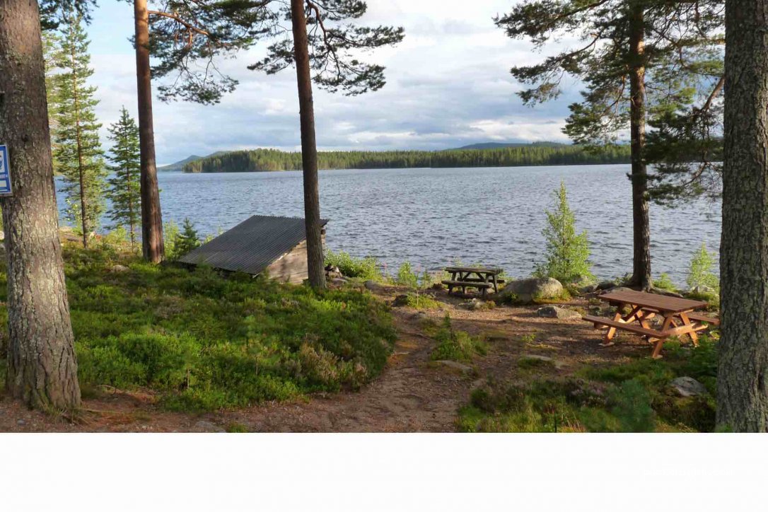 (794 98) Abborrsjöknoppen - — foto 2