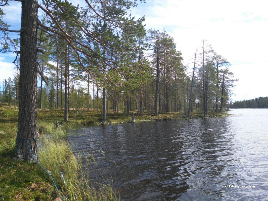 (794 98) Abborrsjöknoppen - — foto 4