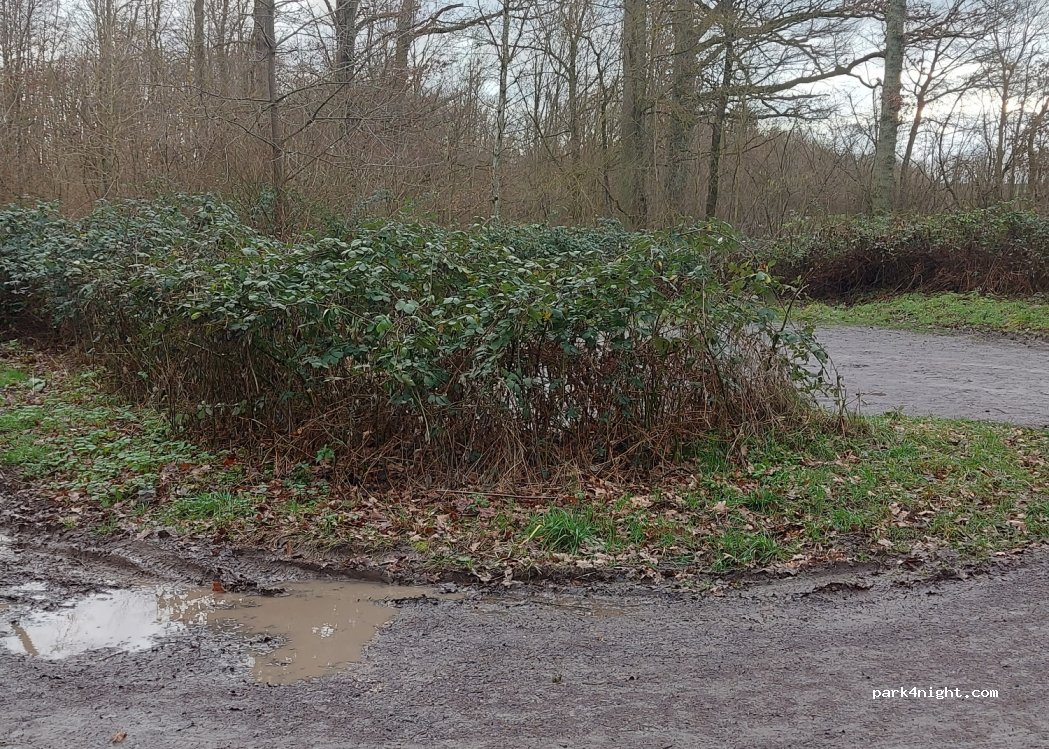 (74343) Sachsenheim - Unnamed Road — foto 2