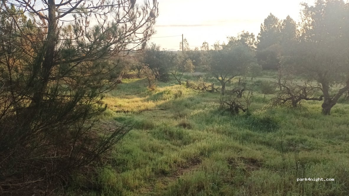 geoSPOT — foto