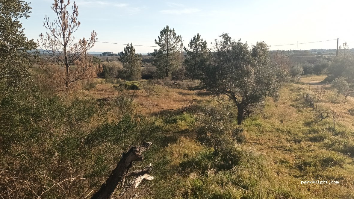 geoSPOT — foto 4