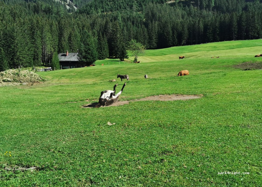 Bergerhube — foto 2