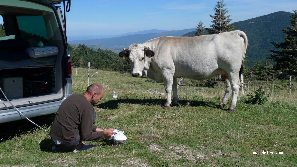 (66500) mosset - col de jau, d14 — foto 4