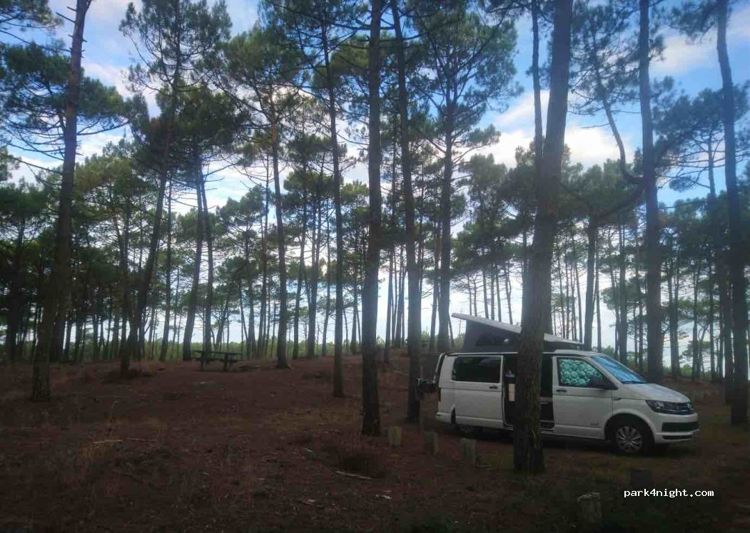 (33680) Lacanau - Unnamed Road — foto 3
