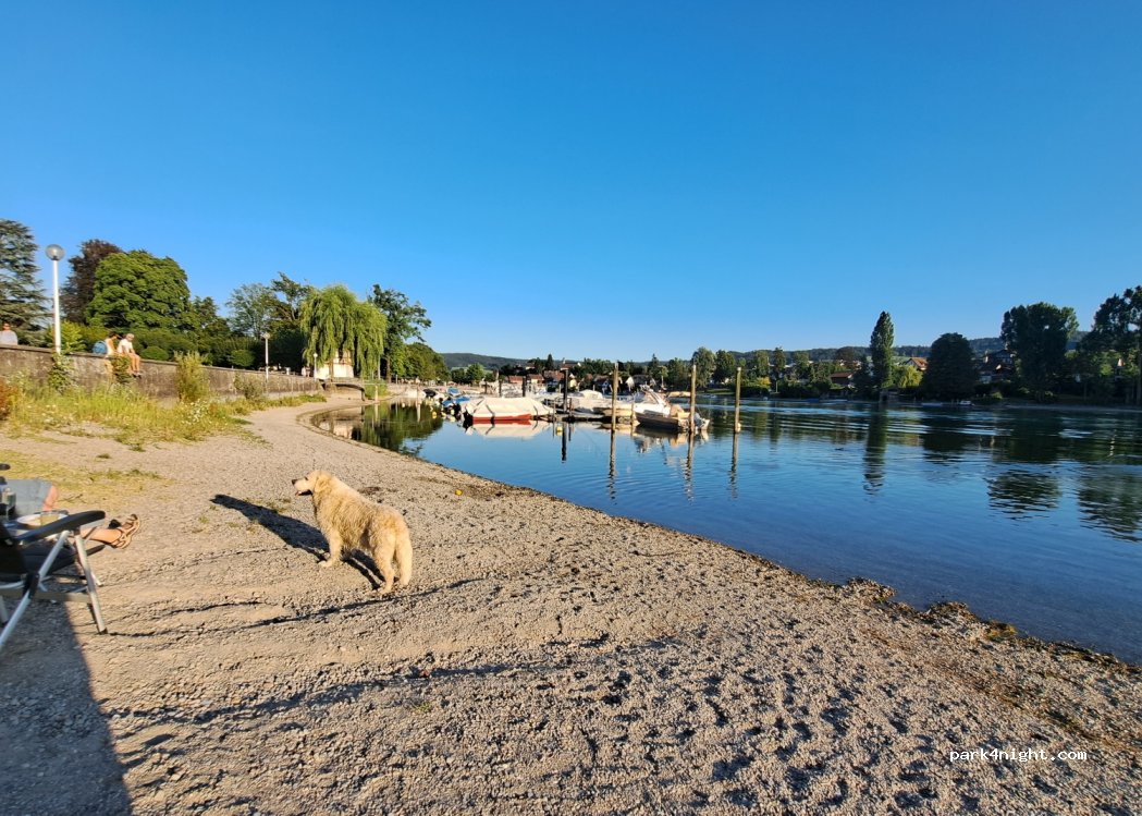 (8260) Stein am Rhein - 7 Hemishoferstrasse — foto 3