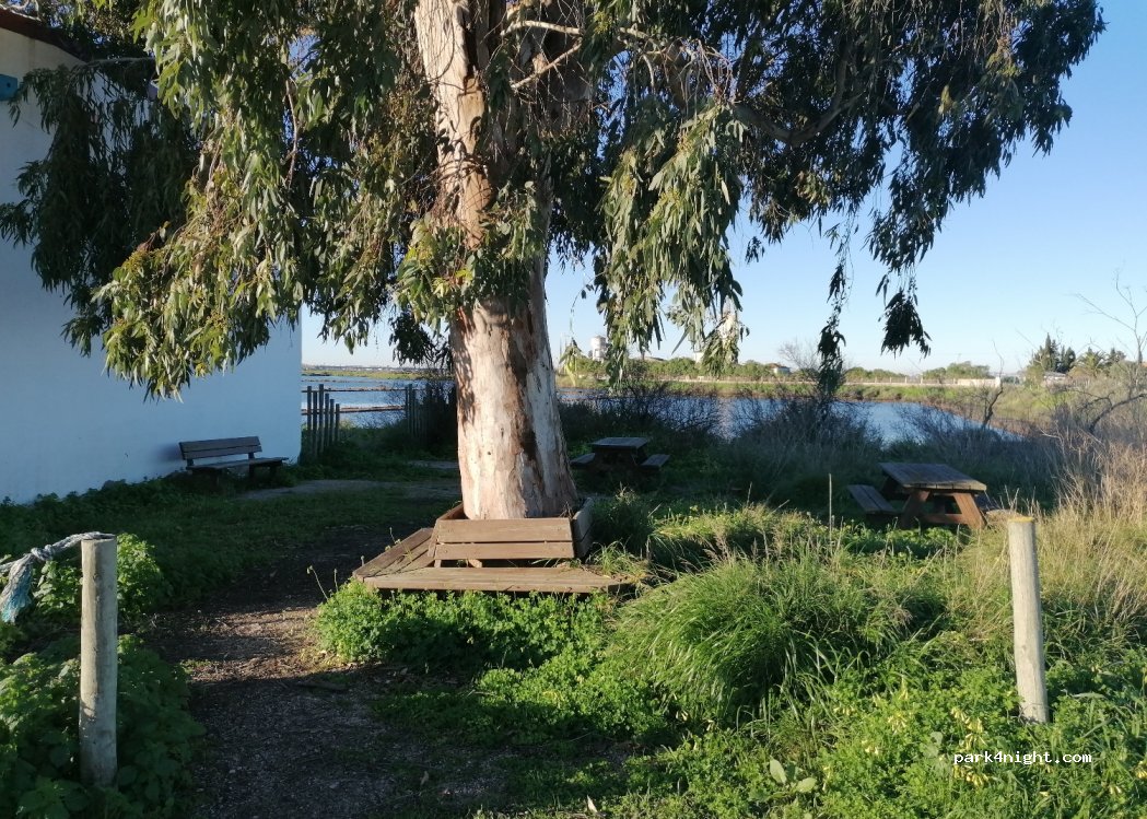 (2870-145) Alcochete - Unnamed Road — foto 3