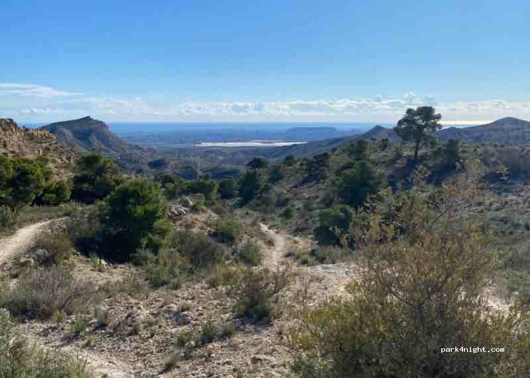 (03690) Urbanització el Savinar - Unnamed Road — foto 3