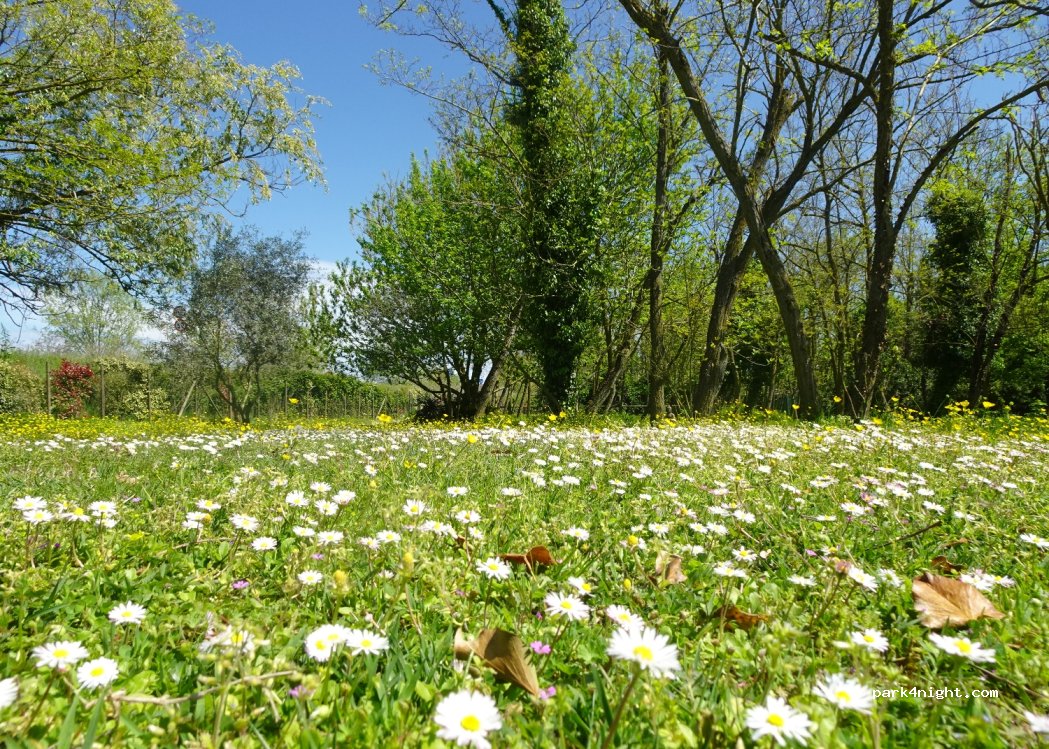 Parco dei Cavalli — foto