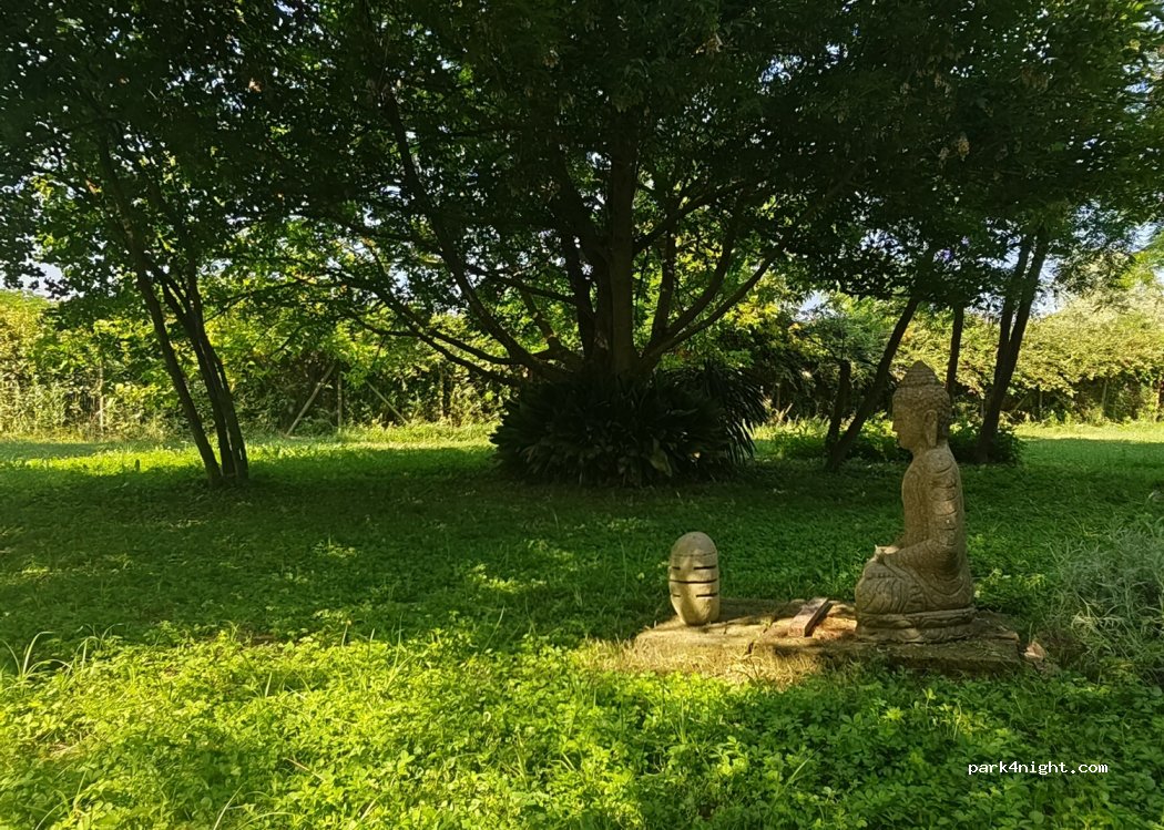 Parco dei Cavalli — foto 4