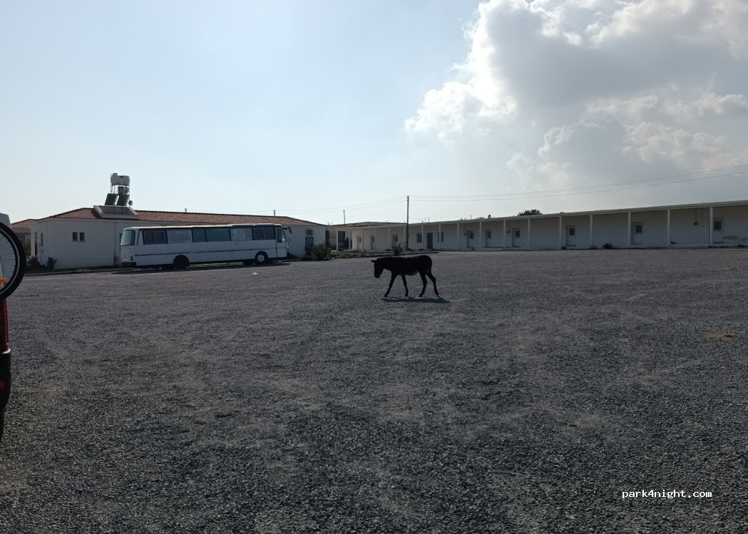 (99890) Dipkarpaz - Karpaz Anayolu — foto