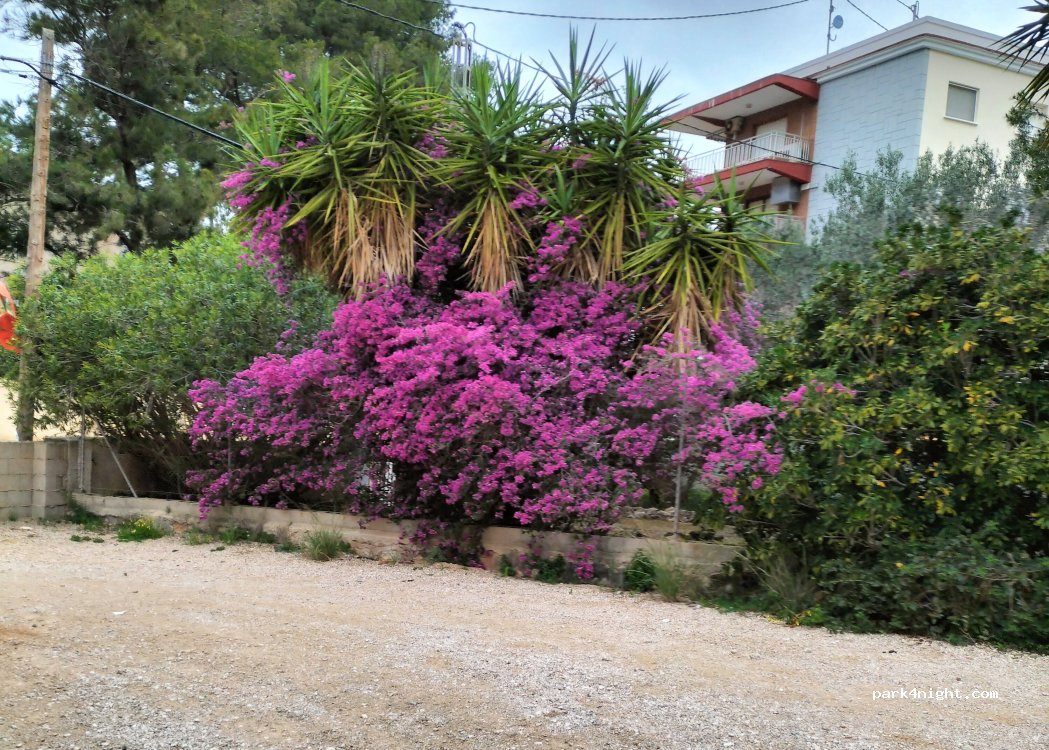 (03700) Dénia - 46E Cami Ample — foto 2