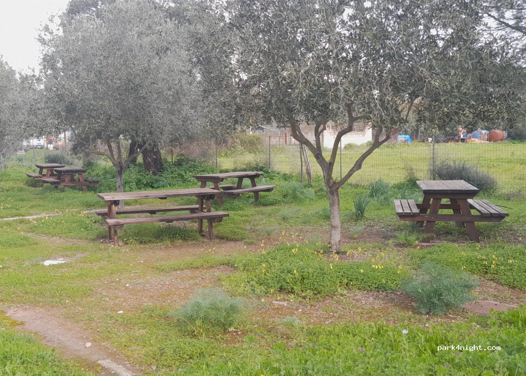 (09010) Vallermosa - Unnamed Road — foto 2