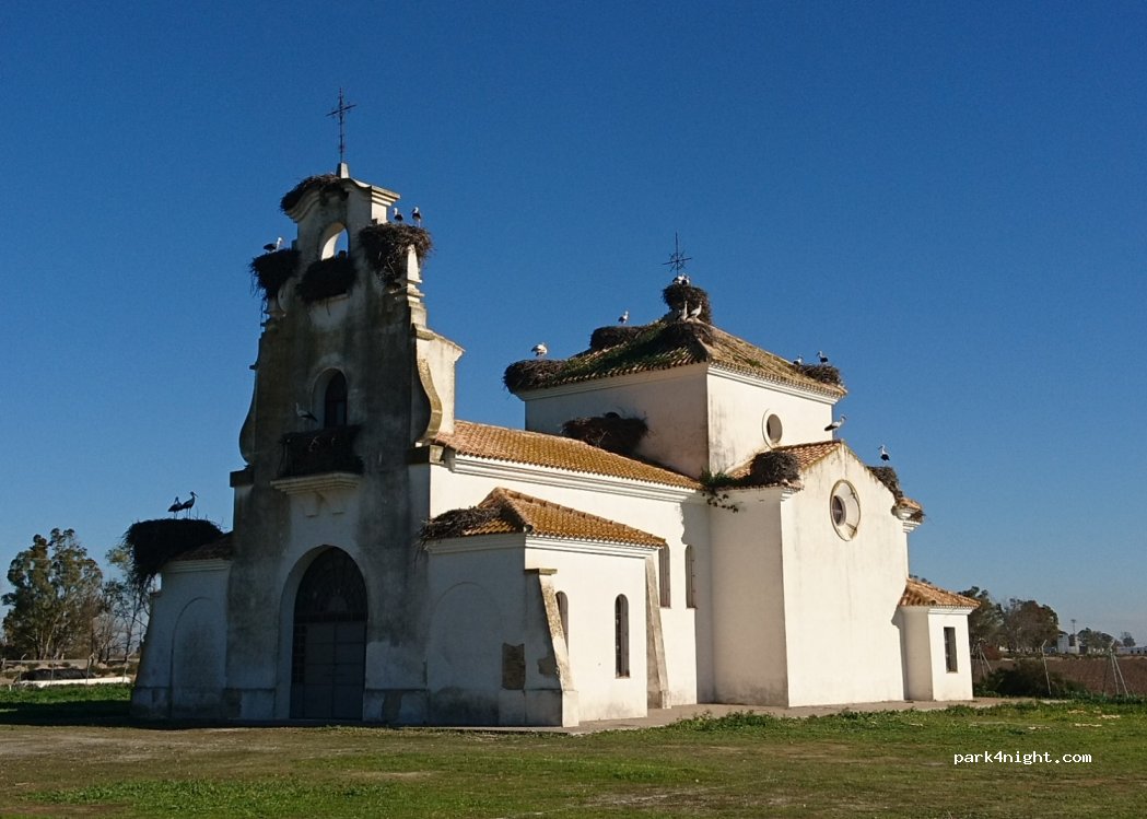 (41740) La Señuela - SE-9013 — foto 4