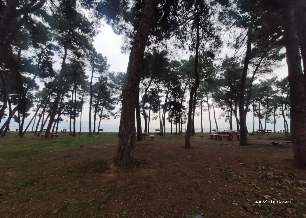 (16825) Orhangazi - Unnamed Road — foto 3