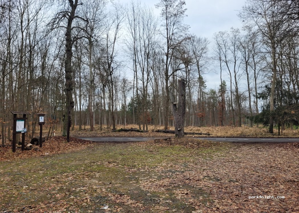 (74-520) Bielinek - Droga Wojewódzka 125 — foto 2