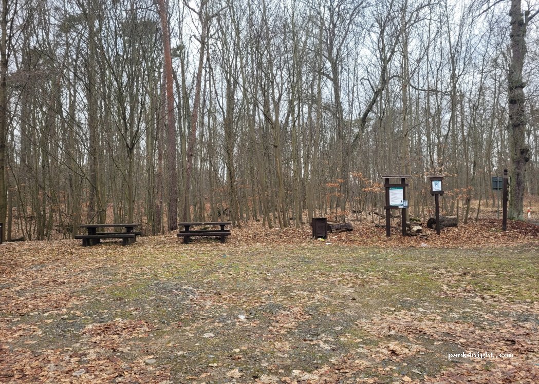 (74-520) Bielinek - Droga Wojewódzka 125 — foto 3