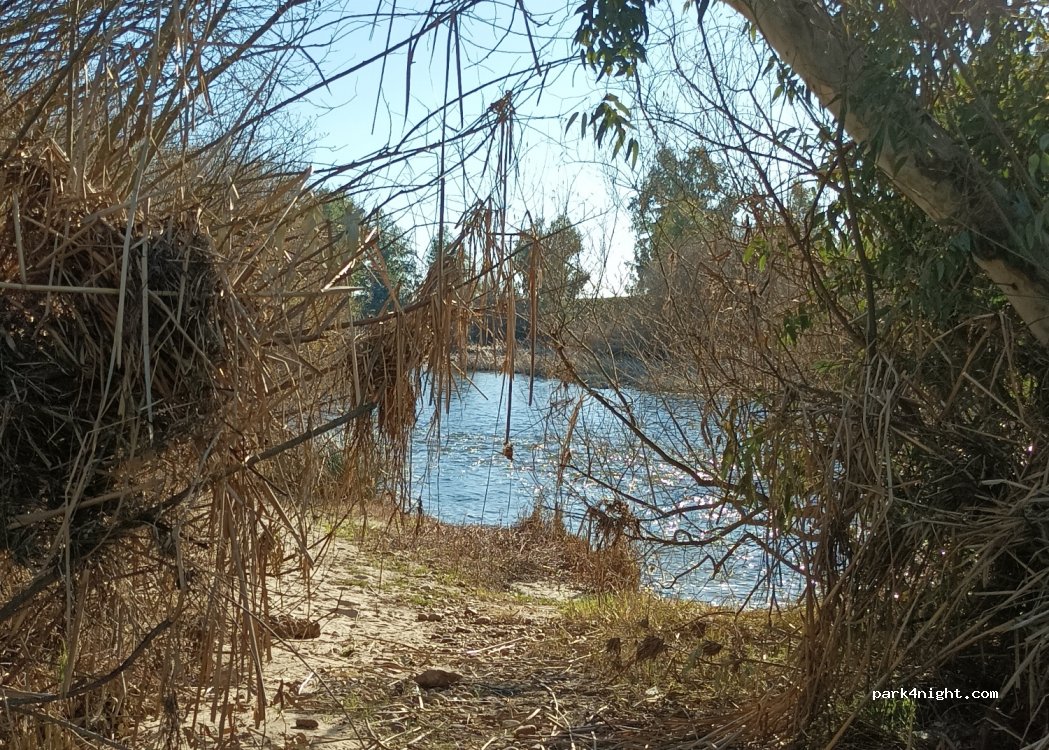 (06473) Villagonzalo - Unnamed Road — foto