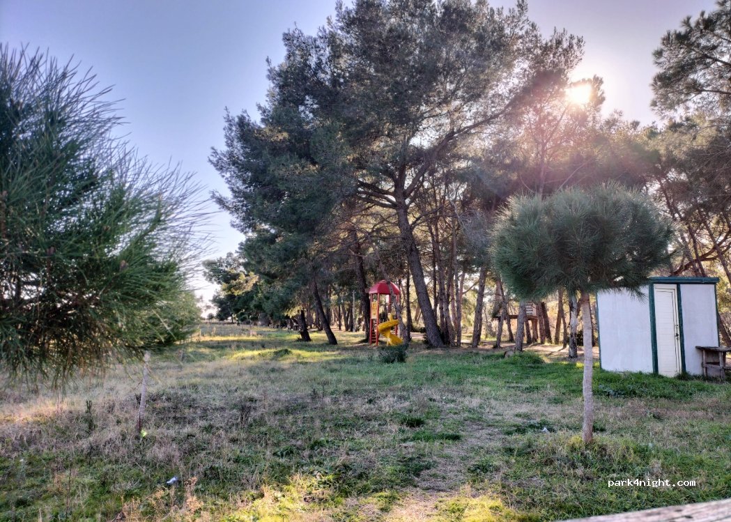 (9022) Divjakë - — foto 4