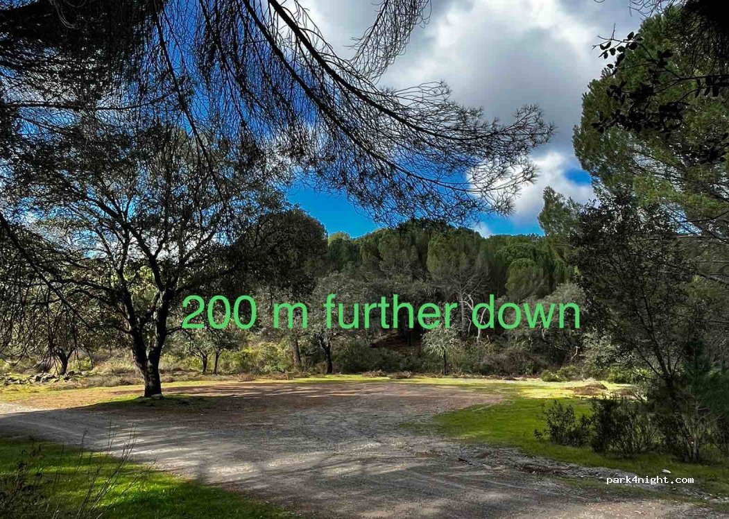 (21647) El Pozuelo - Unnamed road — foto 3