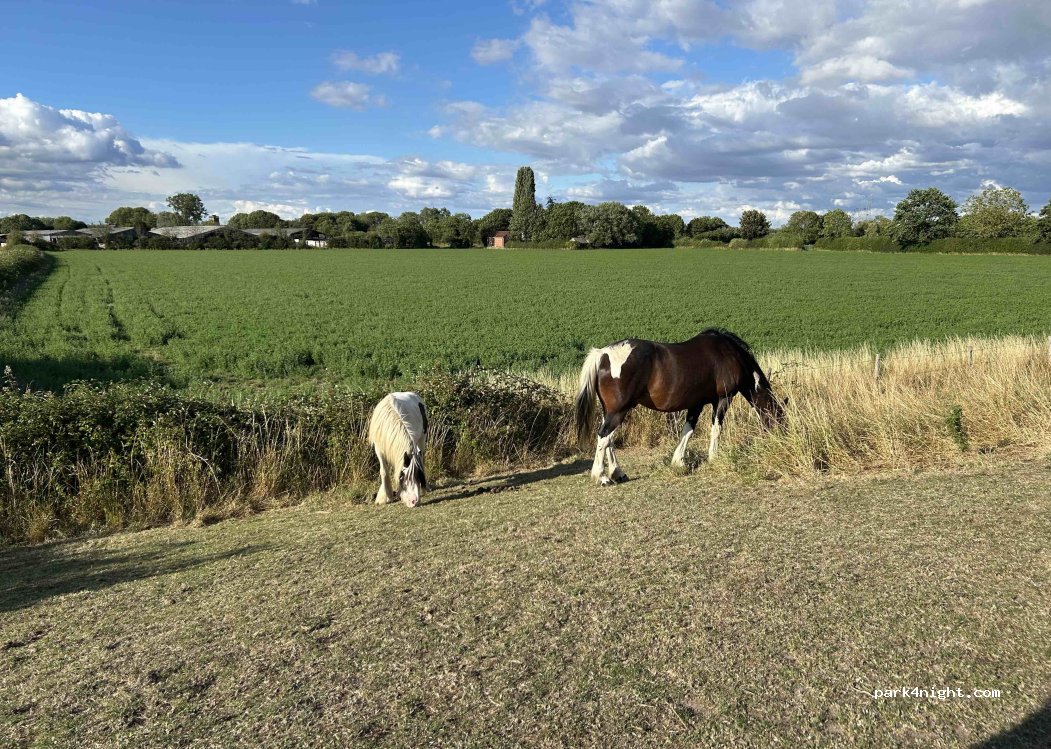 West End Farm & Campsite — foto 3