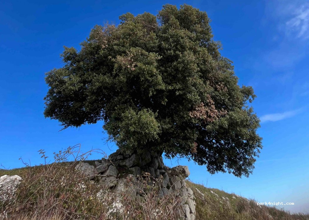 (00031) Artena - — foto 2