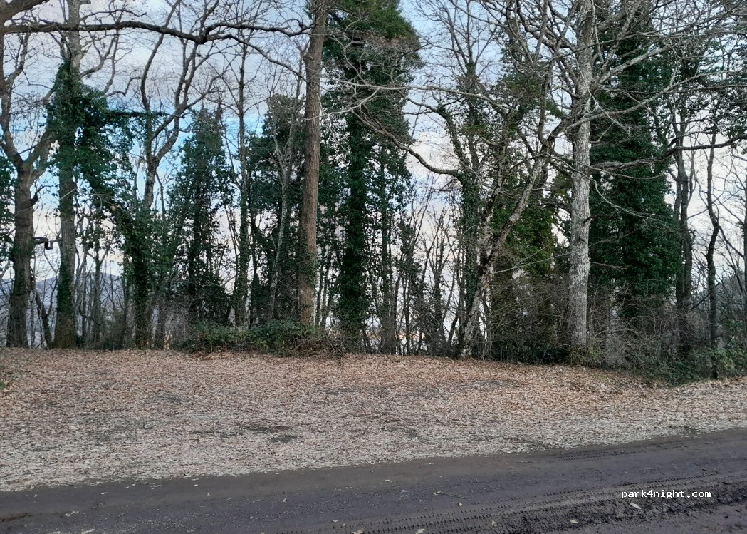 (01032) Caprarola - Unnamed Road — foto