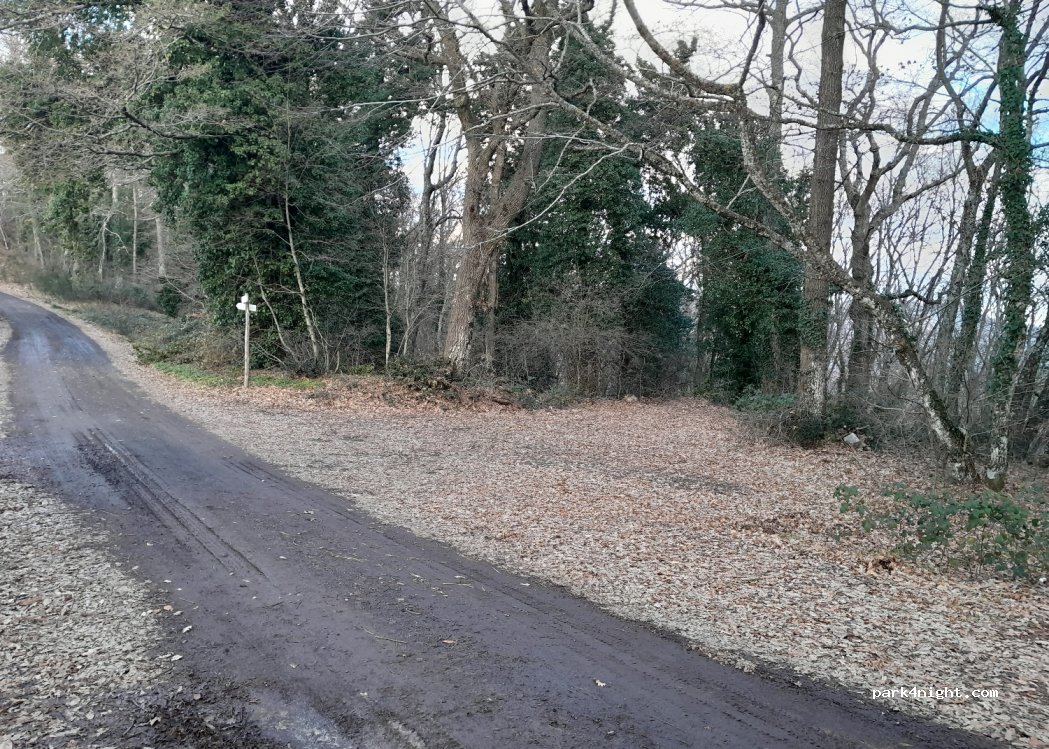 (01032) Caprarola - Unnamed Road — foto 2
