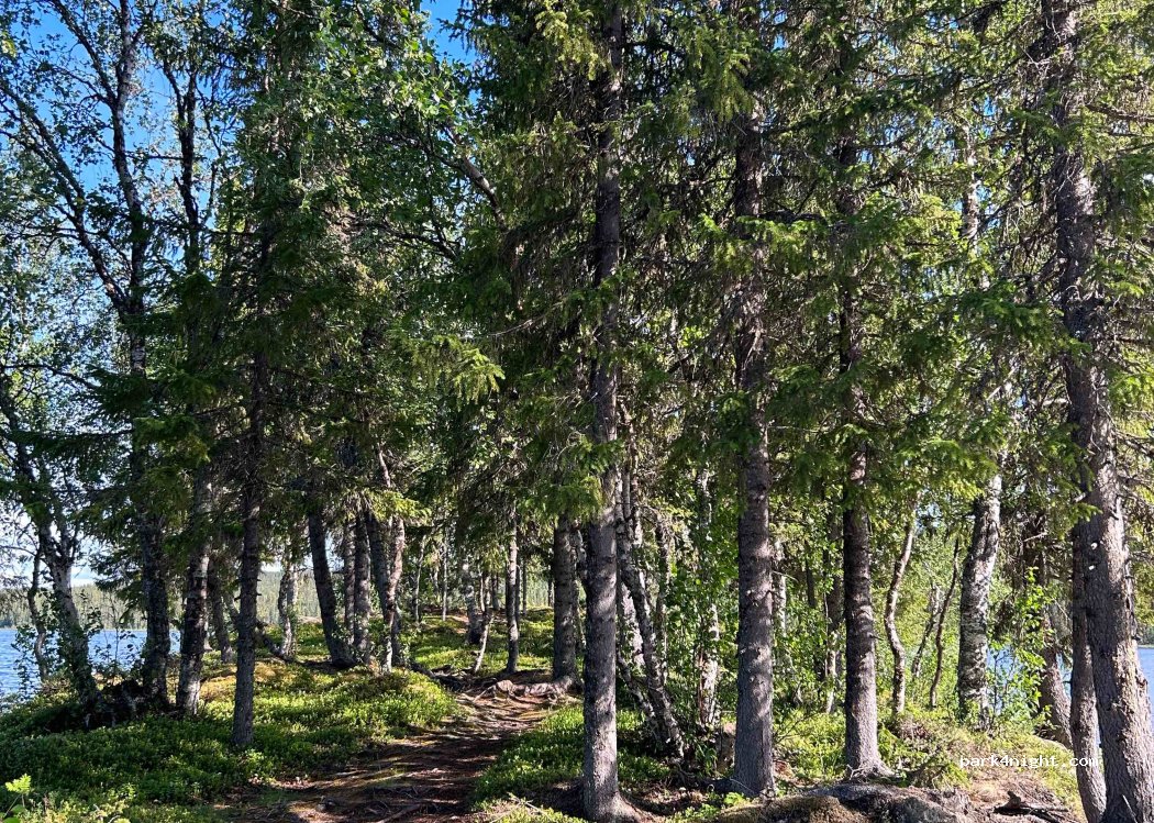 (923 94) Dikanäs - — foto