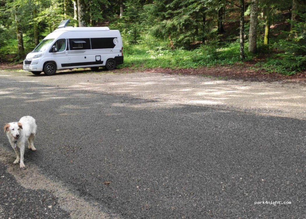 (39130) Bonlieu - Unnamed Road — foto 4