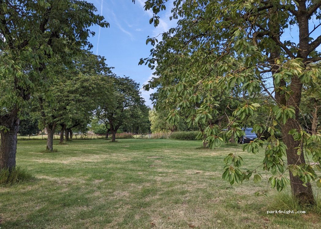 Golfbaan Landgoed Welderen — foto 2