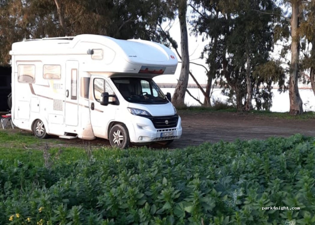 (41740) La Señuela - — foto