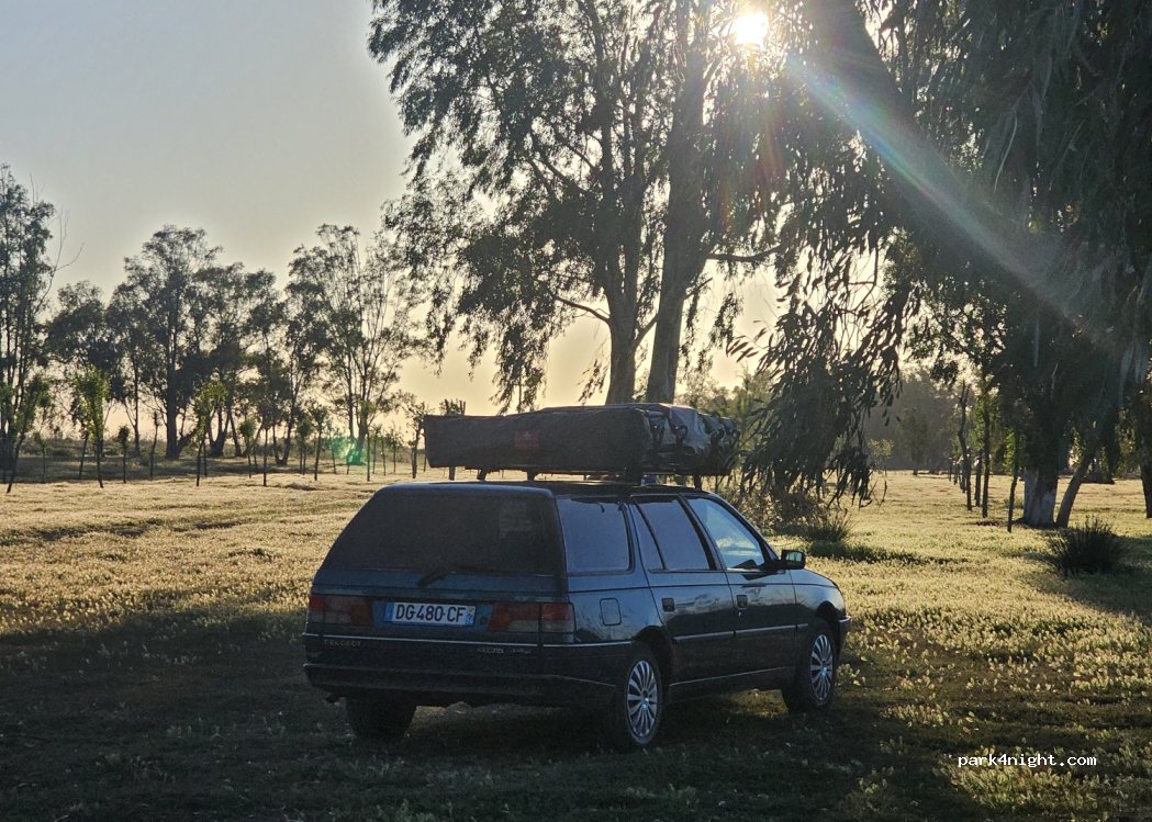 (41740) La Señuela - — foto 4